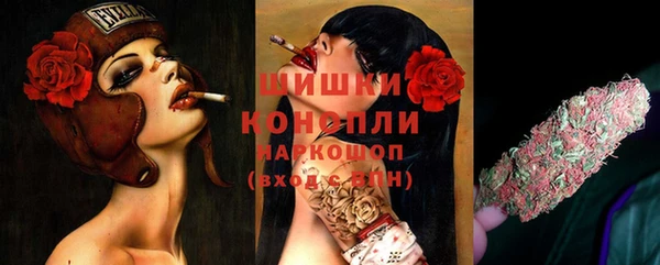 мет Бородино